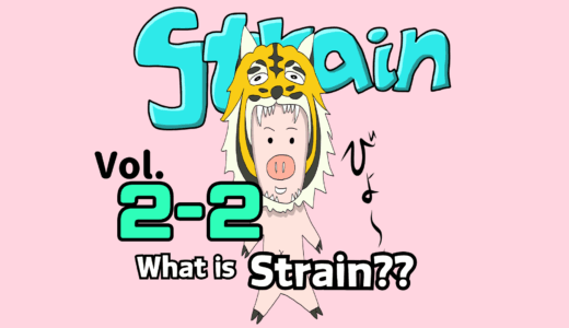 What Is Strain? Definition, Formula, Units, and Stress–Strain Relationship Explained