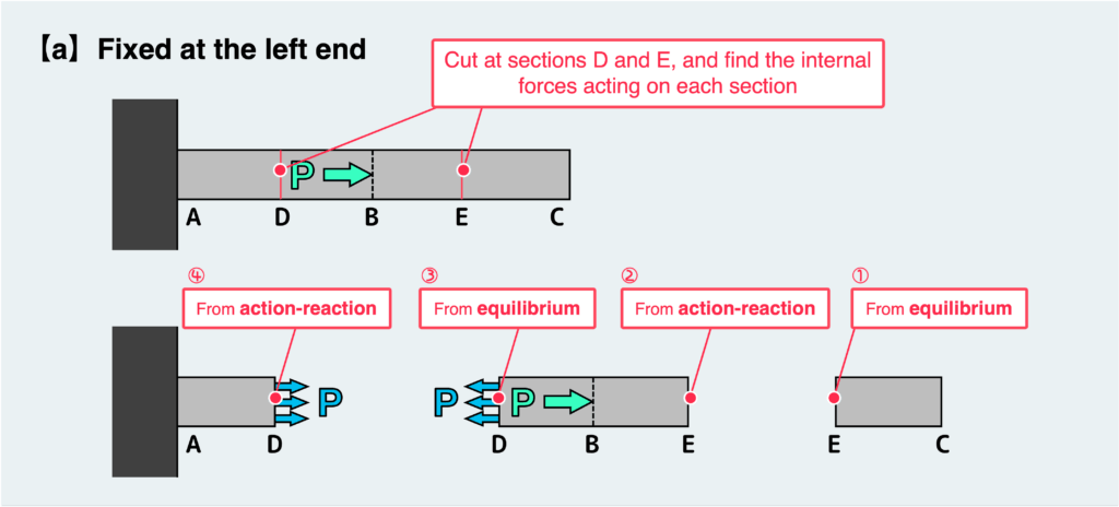 Fixed at the left end