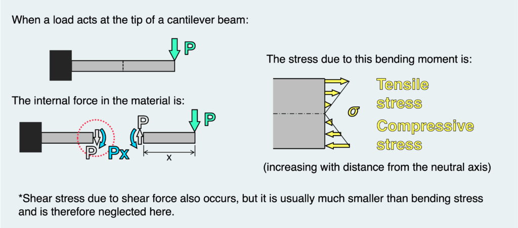 When a load acts at the tip of a cantilever beam